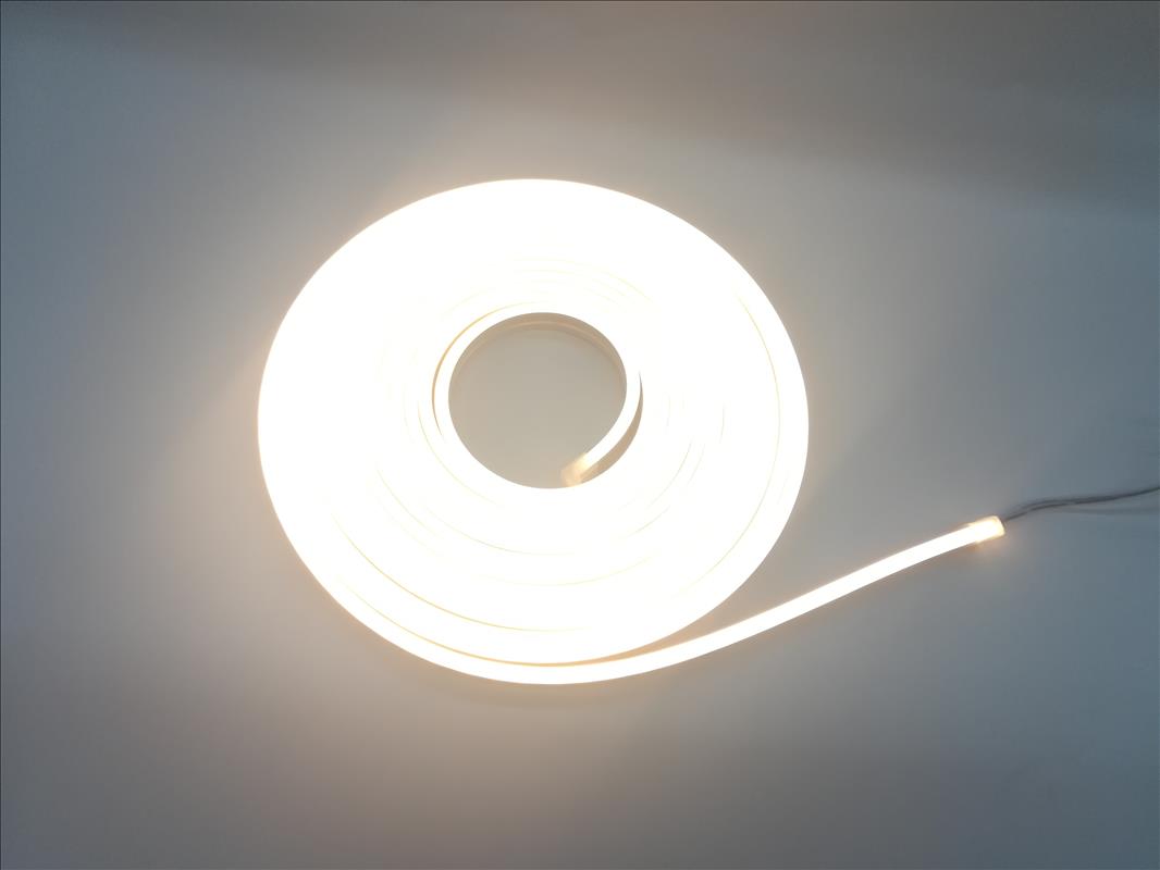 Neon Flexible LED Strip